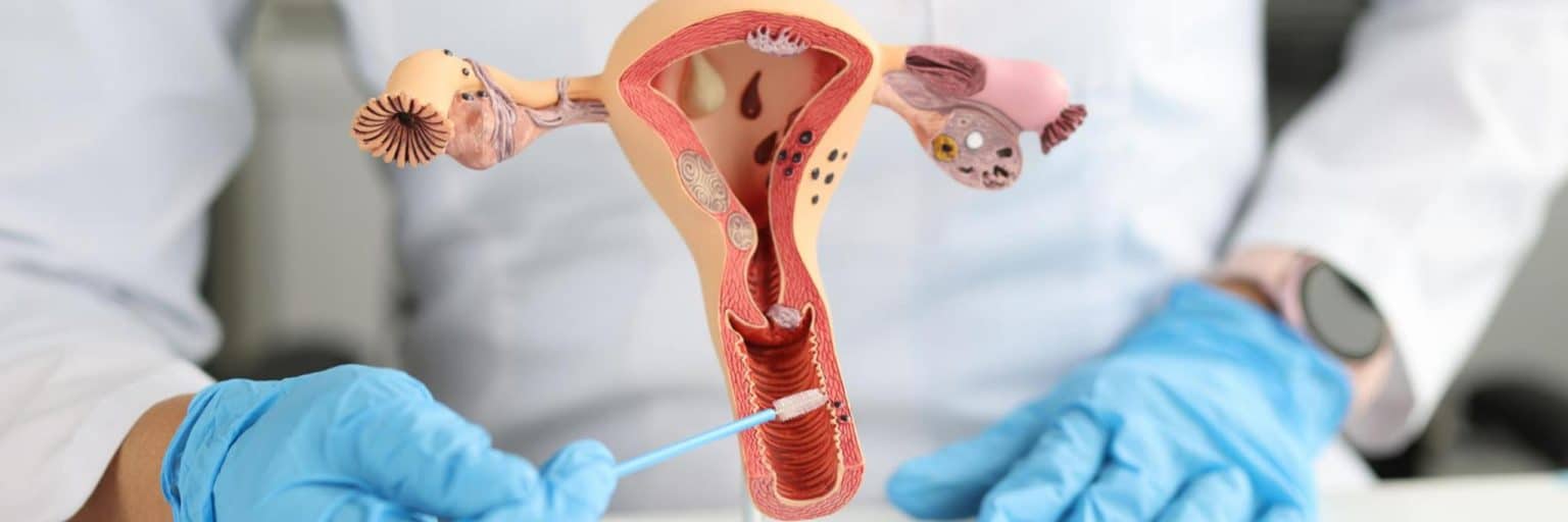 World Congress on Gynecology, Obstetrics and Women’s Health Care
