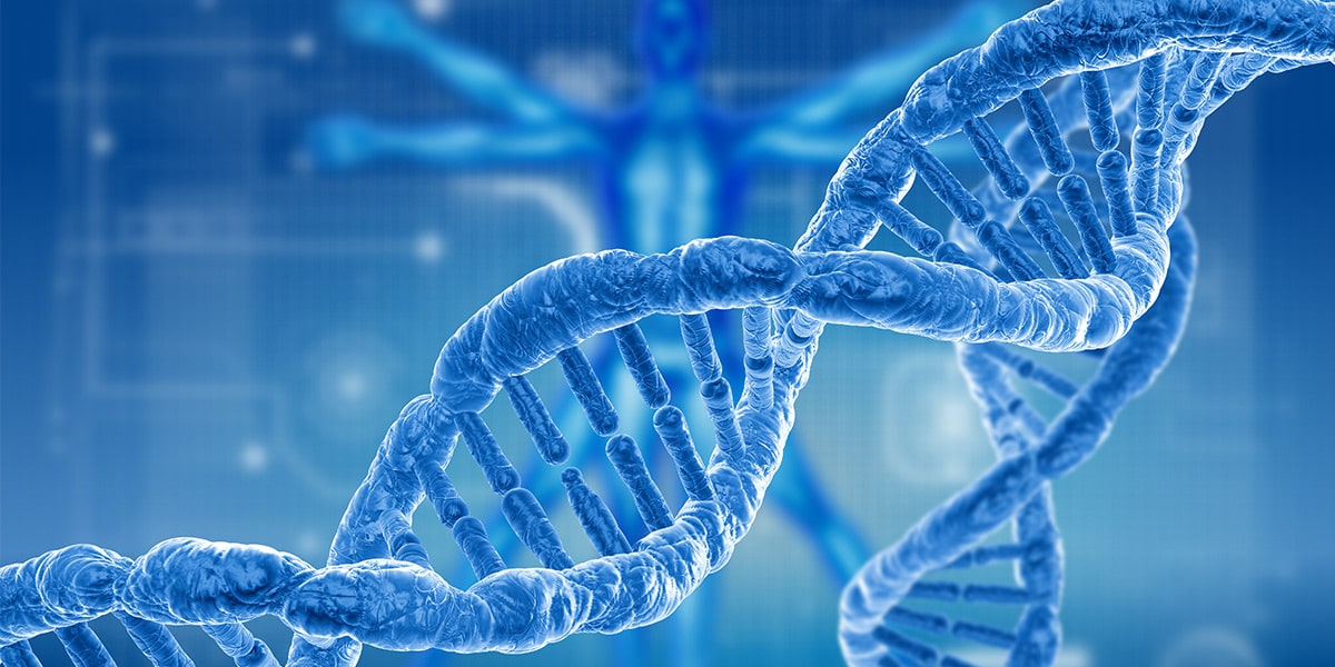 3rd European Congress on Human Genetics